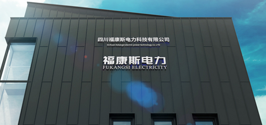 雄厚的企业综合实力